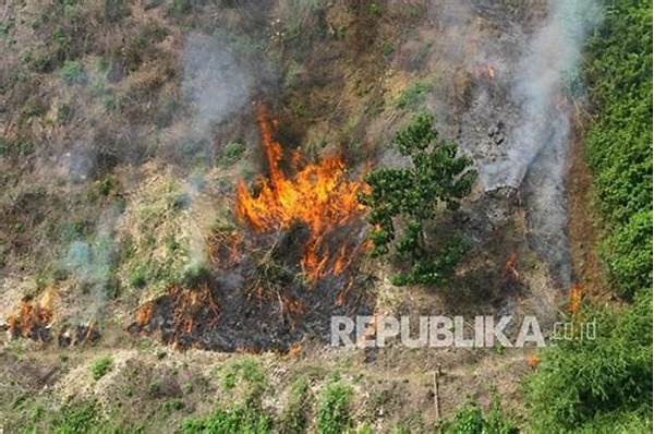 [foto Bencana] Lahan Kebakaran Hutan Di Kawasan Hutan Lindung Banten, Petugas Kewalahan!