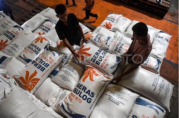 Pangan! Bulog Klaim Stok Beras Nasional Aman Jelang Nataru, Harga Di Serang Tetap Stabil!