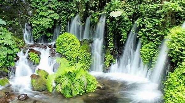 [video Alam] Pesona Keindahan Wisata Alam Air Terjun Curug Cikotok Serang!