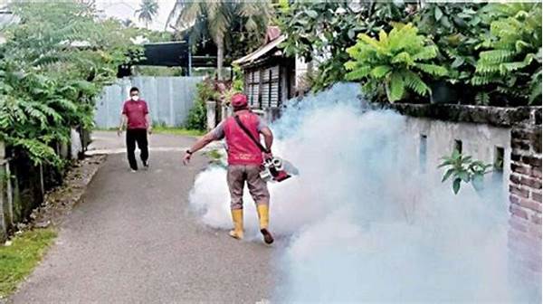 [foto Kesehatan] Fogging Massal Di Permukiman Serang, Upaya Cegah Dbd!
